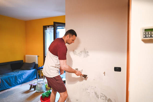 Professional Mold Removal in Montrose, NY